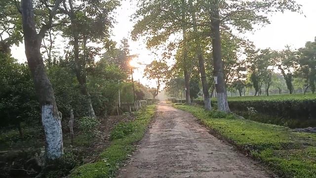 A journey to Dikom / Travel Vlog / লকডাউনৰ মাজতে অলপ ফুৰি আহিলো। смотреть онлайн