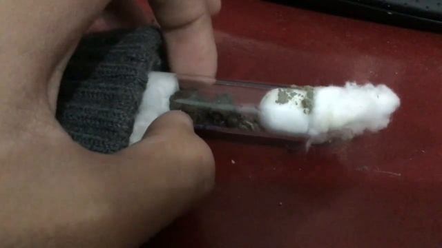 Two Queens And A Colony!