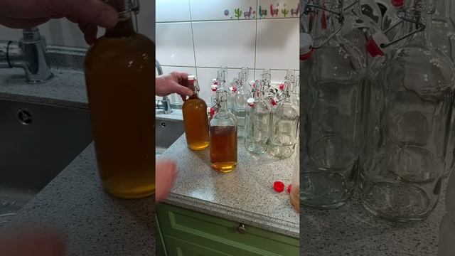 Живое 🍺 своими руками