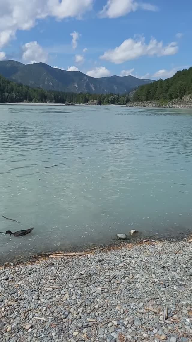 Горный Алтай, Бирюзовая Катунь
Турбаза Кызыл-Таш