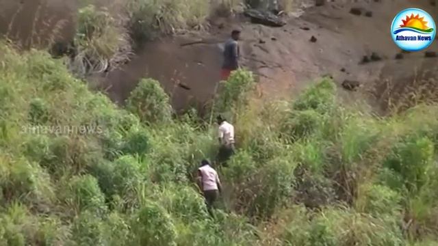 Deniyaya forest fire смотреть онлайн