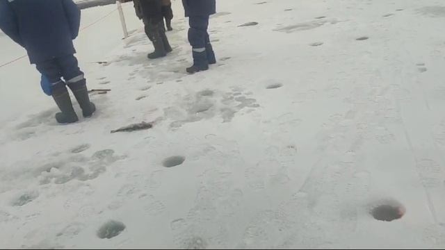 WhatsApp Video 2025-01-12 at 10.19.28 смотреть онлайн