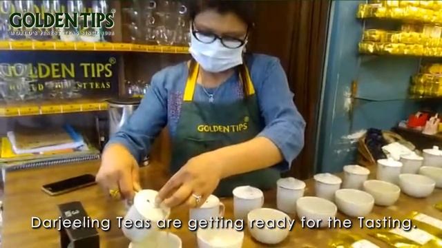 Tea Tasting at Darjeeling Showroom | Golden Tips Tea смотреть онлайн