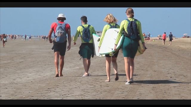 A Day in the Life of Surf Canaries! смотреть онлайн