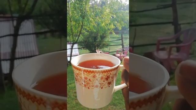 Morning tea is always mesmerizing смотреть онлайн