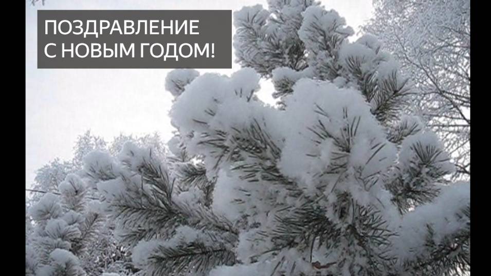 Поздравление с Новым годом! Желаю счастья, любви, здоровья, благополучия, везения, успехов. Дружим! смотреть онлайн