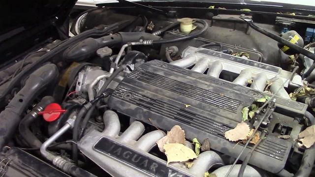 1994 Jaguar XJS 6 0 V12 Runs Again!