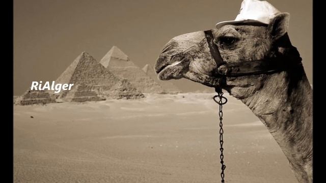 Arabic nights: best progressive deep house music 2014 exclusive смотреть онлайн