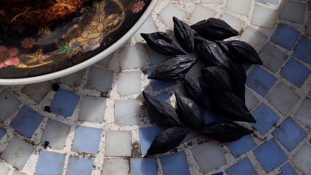 Joey Tea Time – Vlog 9 – Pulling Out the Chaozhou Tea Stove & EoT 2001 Mengsa Puer смотреть онлайн