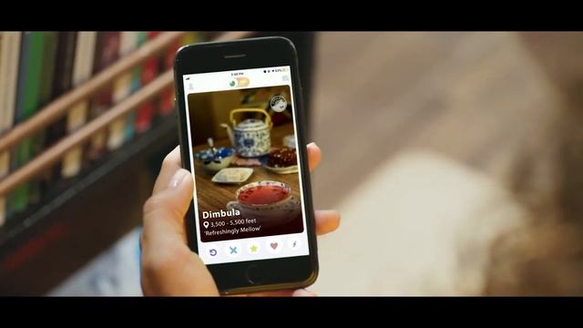 Ceylon Tea : Film 7 : Diverse Cups смотреть онлайн