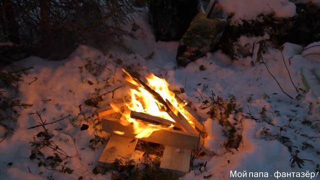 Путешествие в зимний лес | Взяли снегокат и поехали в лес жарить сосиски смотреть онлайн