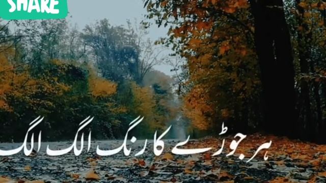 new islamic ringtone | arabic ringtone | turki ringtone | gojol ringtone | Ramzan ringtone| Naat ri смотреть онлайн