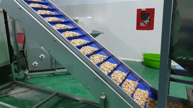 Nuts Roasting Machine - Peanut Roasting Machine - Sunflower Seeds Roasting Machine OS - 1000 смотреть онлайн