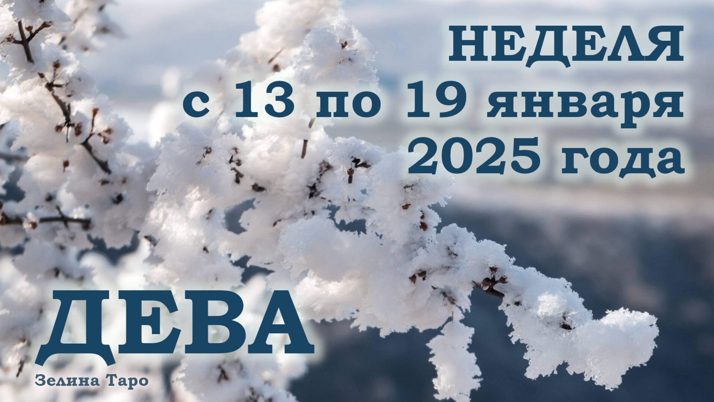 ДЕВА | ТАРО прогноз на неделю с 13 по 19 января 2025 года