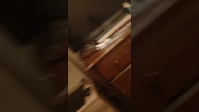 # ботаничка# спидран# училка