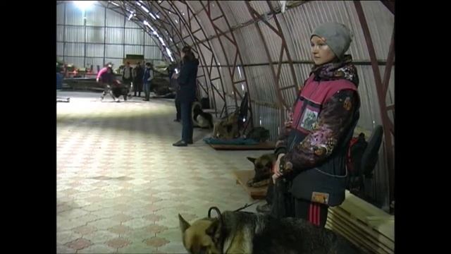 Немного поиска 20 05 2018 ОЦССС смотреть онлайн