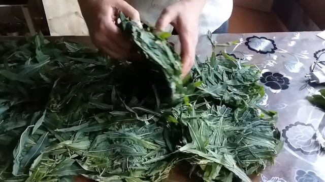 Иван чай 2 часть. 27 июля 2021 г. смотреть онлайн