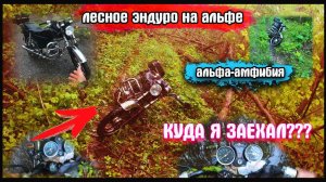Off-road на мопеде альфа. Внедорожные лесные покатушки
