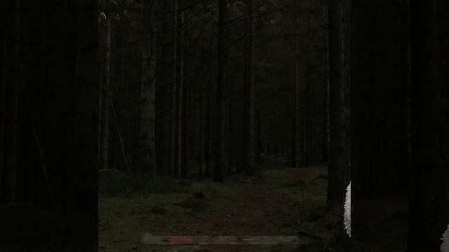 бабайка 🙄🖕🎀