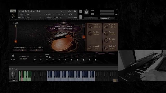 Versilian Studios Chamber Orchestra - Ensemble Strings