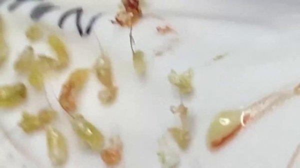 Enjoy Your Day With Hien Nguyen Spa # 2365