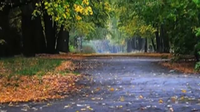 Когда бушует жизнь смотреть онлайн