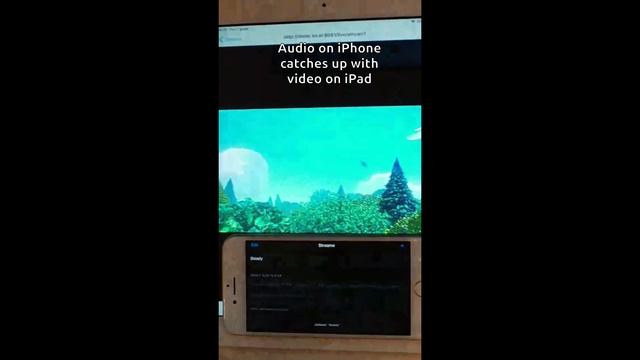 Synchronized playback on iPad and iPhone with SLDP смотреть онлайн