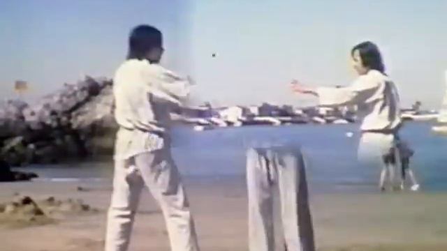 DON CHAN TAN CONG (Leg Wrap) - VOVINAM MARTIAL ART смотреть онлайн