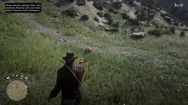 Red Dead Redemption 2 - Hunting and cougar attack смотреть онлайн