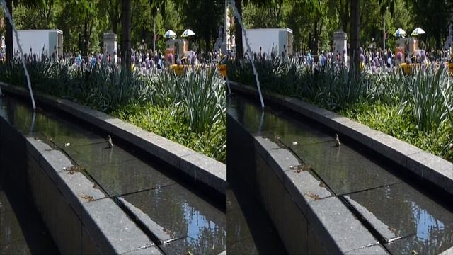 Panasonic 3D1 test Video: Flora and Fauna of Columbus Circle in 3D смотреть онлайн
