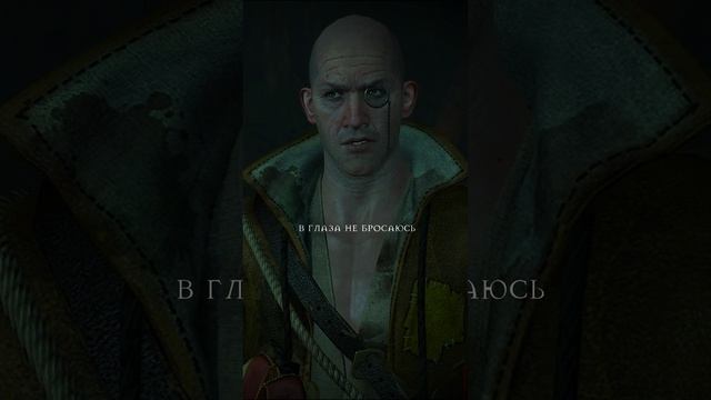 Как я провожу летние каникулы ▌Ведьмак 3: дикая охота #shorts #ведьмак смотреть онлайн