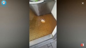 ШОК ВИДЕО!! ДЕВУШКА ЗАХОТЕЛА СХОДИТЬ В АВТОМАТИЧЕСКИЙ ТУАЛЕТ