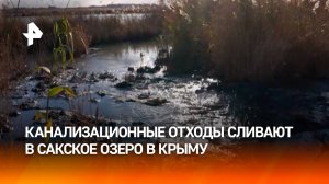 Сакское озеро в Крыму превращается в «сточную канаву» из-за канализационных отходов