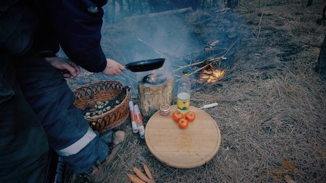 Один в лесу: Убежище отшельника и деликатес из змеиных яиц (solo bushcraft) смотреть онлайн