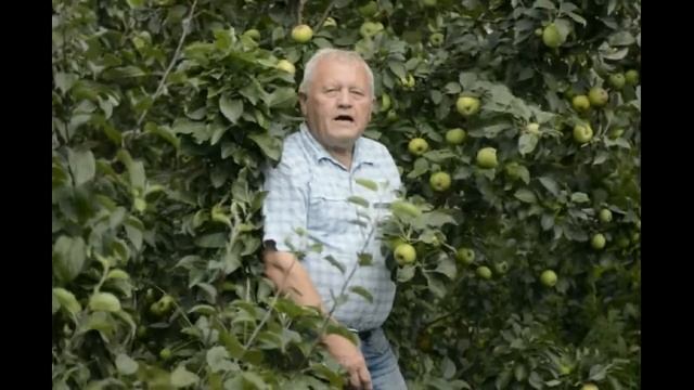 приветствие распопова смотреть онлайн
