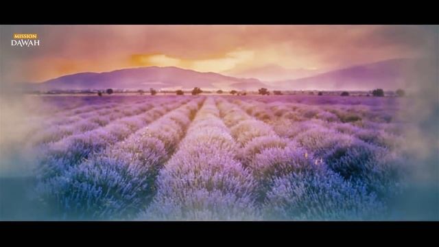 Жизнеописание Пророка Мухаммада #5: Брак с Хадиджей смотреть онлайн