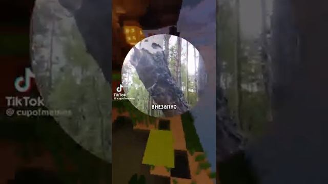 Видео из тиктока смотреть онлайн