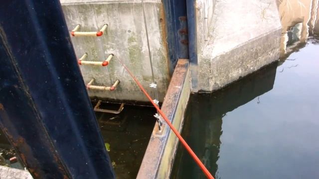 TANAGO Micro Fishing With Cane Pole