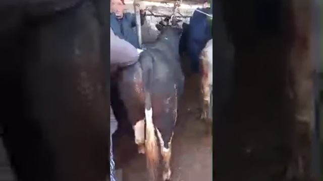 МОЛБОЗОРИ ХУЧАНД ХУДЖАНД ЭЛЁР ТВ в прямом эфире! MOLBOZOR BOZOR ТОЖИКИСТОН