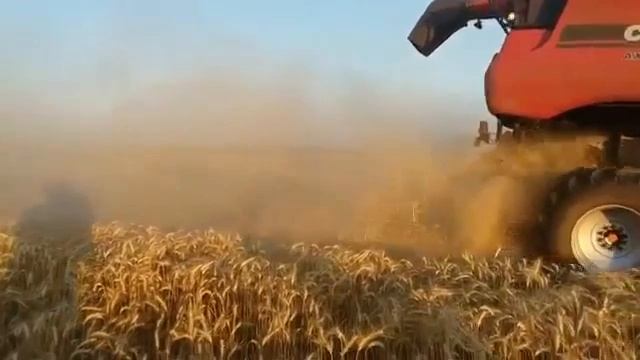 "БАНЬКА" СЛАВА ИСЕТСКИЙ ( МЛАДШИЙ ) смотреть онлайн