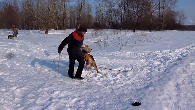 Кусается Арабика (3) смотреть онлайн