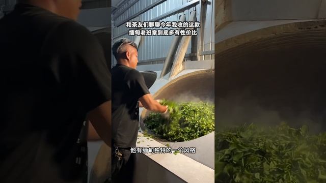 我在中國雲南西雙版納做茶20年了，在源頭分享高品質普洱茶，全球1公斤起發。 смотреть онлайн
