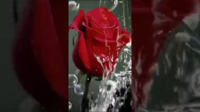 Во имя Христа...# христианская песня смотреть онлайн