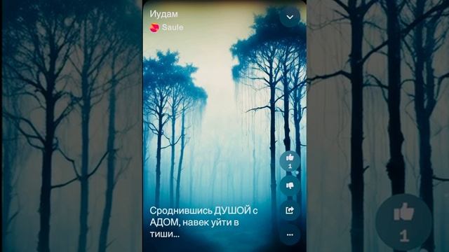 Я прощаю смотреть онлайн