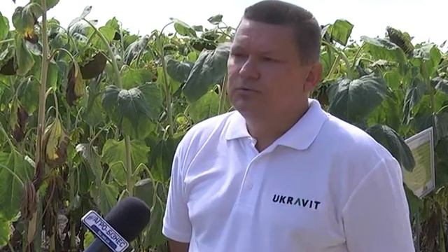 День поля UKRAVIT, 2016, Привільне смотреть онлайн