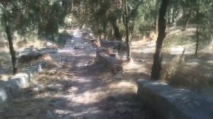 Газ 3102 и путешествие