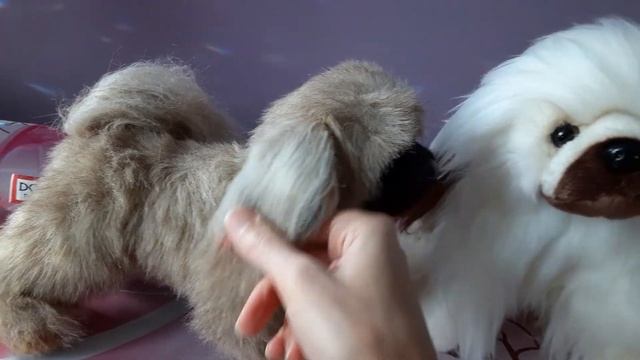 Unboxing Buttons the Pekingese Plush Puppy Dog by Douglas Cuddle Toys ❤ смотреть онлайн