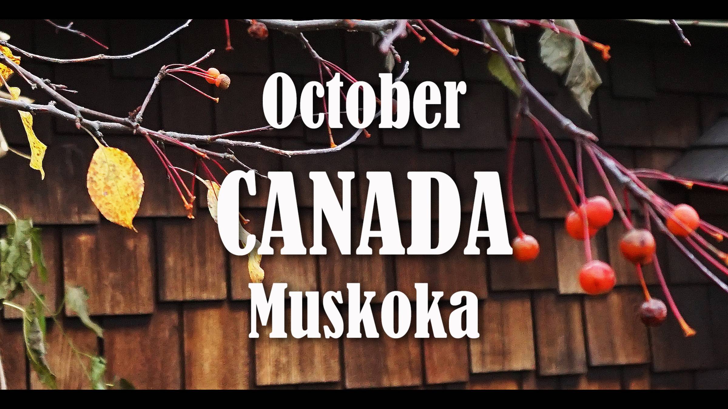 October. CANADA. Muskoka. смотреть онлайн