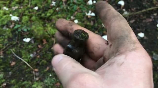 metal detecting RAF WW2 buttons (27) смотреть онлайн