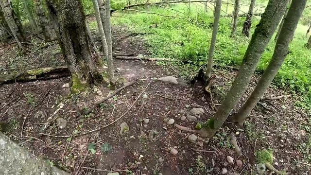 СУМАСШЕДШИЙ СТРАУС НАПАДЕТ ! САД УМИРАЕТ ! РЫБЫ НЕТ ! ХУТОР В ЛЕСУ №392